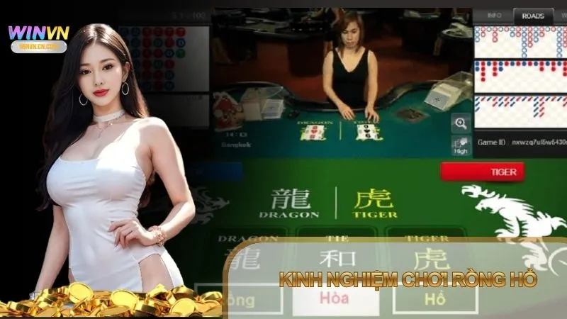 Áp dụng cách chơi Rồng Hổ đúng và chọn cửa cược hợp lý giúp người chơi nâng cao tỷ lệ chiến thắng trong mỗi ván.