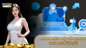Các bước liên hệ Winvn cho người mới nhanh chóng