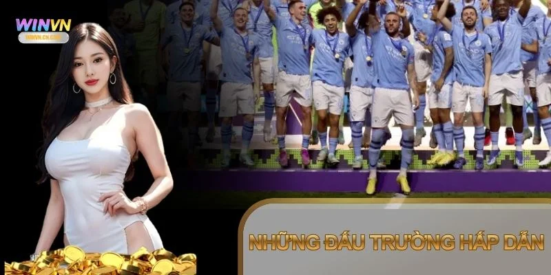 Các giải đấu được chia theo từng khu vực và cấp độ