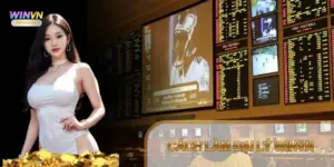 Cách làm đại lý Winvn