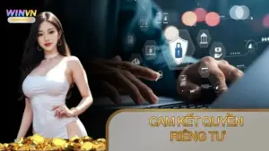 Chính sách cam kết quyền riêng tư Winvn