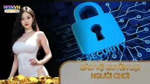 Chính sách miễn trách nhiệm Winvn an toàn cho người chơi